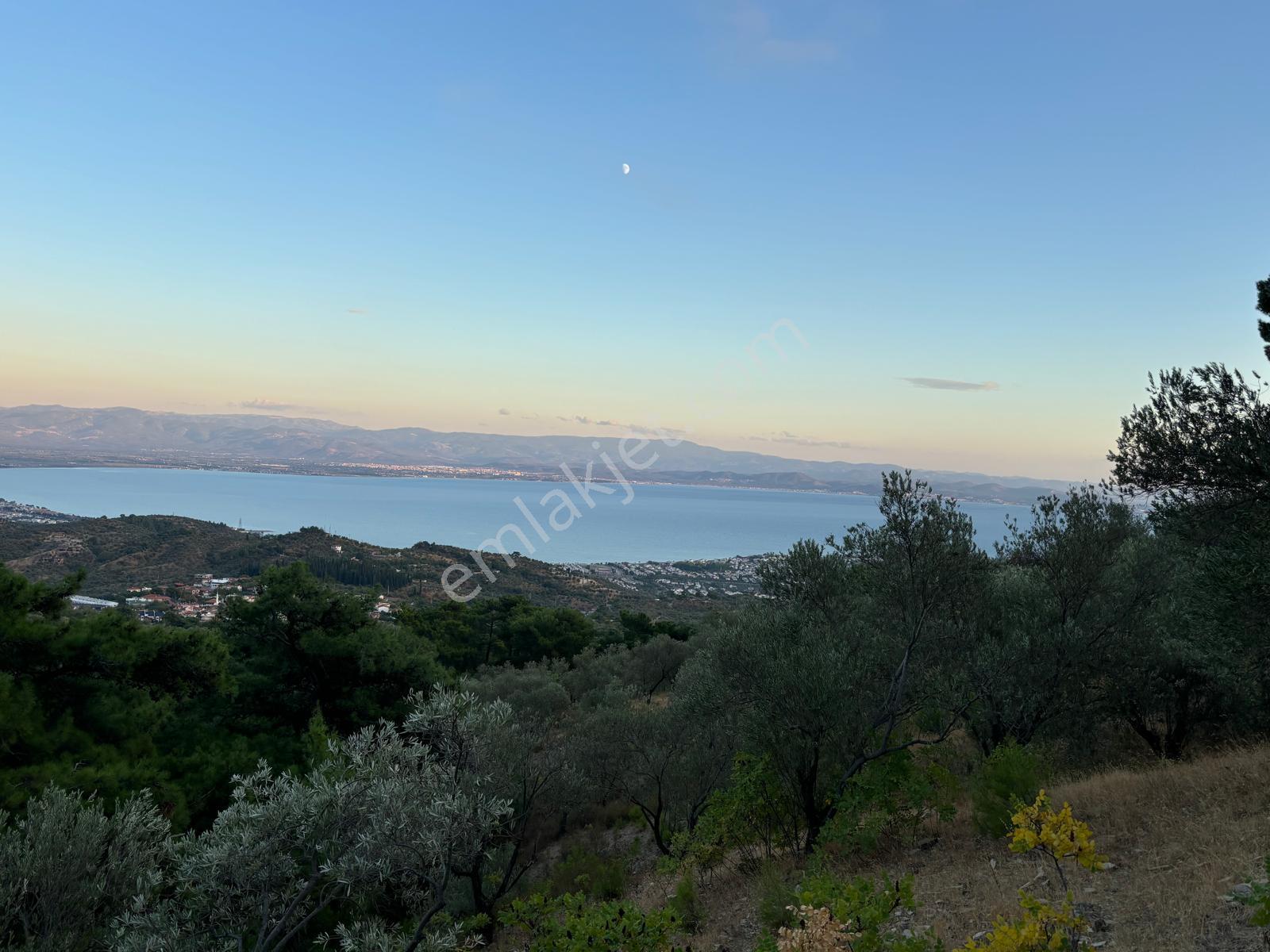 ⚠ Gfa Grup’tan Çamlıbelde Panoramik Deniz Manzaralı 19 Dönüm Zeytinlik⚠ - Görsel 14