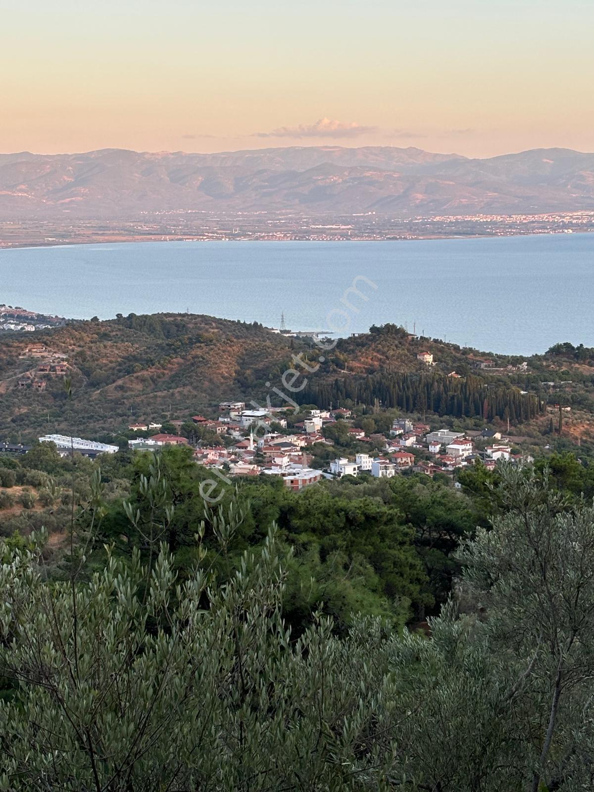 ⚠ Gfa Grup’tan Çamlıbelde Panoramik Deniz Manzaralı 19 Dönüm Zeytinlik⚠ - Görsel 9