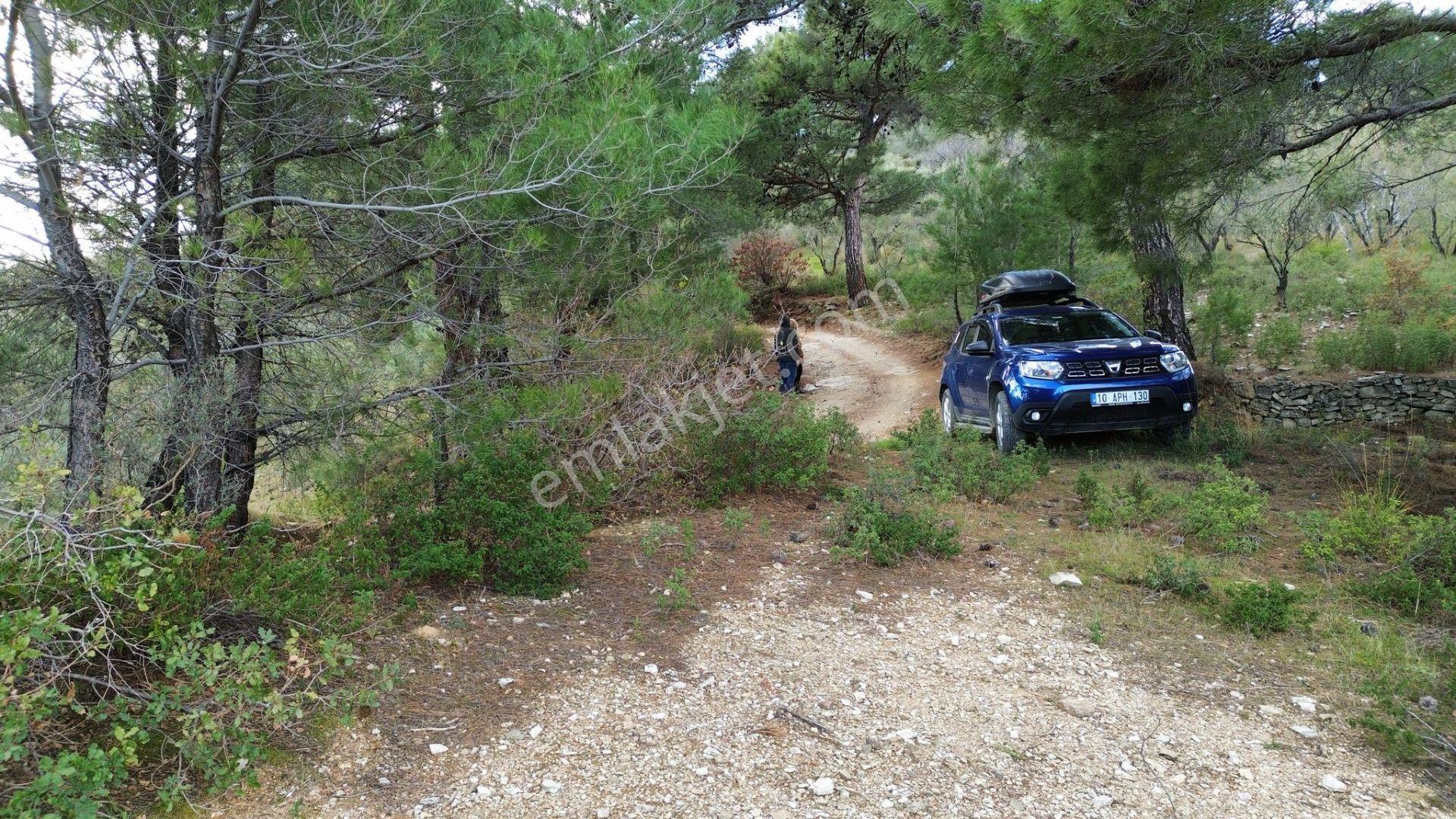 ⚠ Gfa Grup’tan Çamlıbelde Panoramik Deniz Manzaralı 19 Dönüm Zeytinlik⚠ - Görsel 5