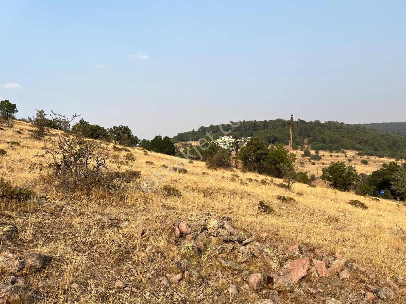 Myg'den Çamlıdere Beyler Turizm İmarlı 764m2 Tek Tapu Arsa - Görsel 6