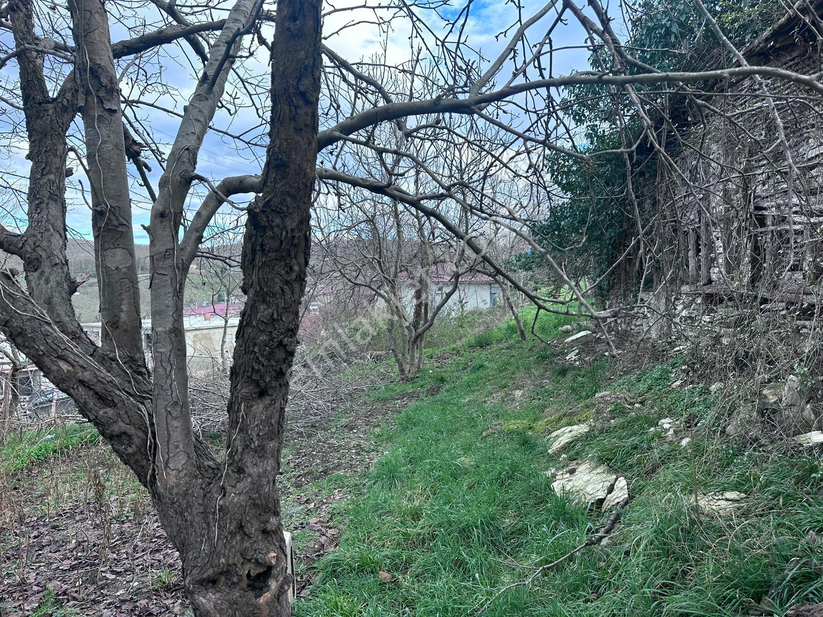 Kocaali'de Deniz Manzaralı, 3 Kat Yapı Yapılmasına Uygun Arsa - Görsel 4