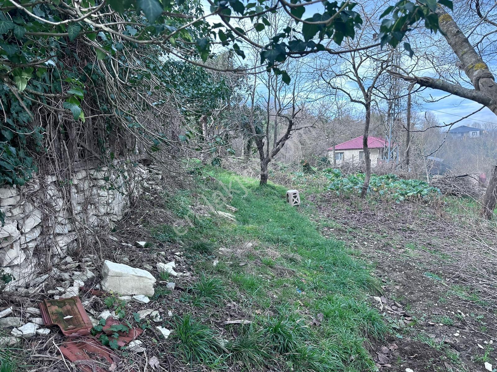 Kocaali'de Deniz Manzaralı, 3 Kat Yapı Yapılmasına Uygun Arsa - Görsel 2