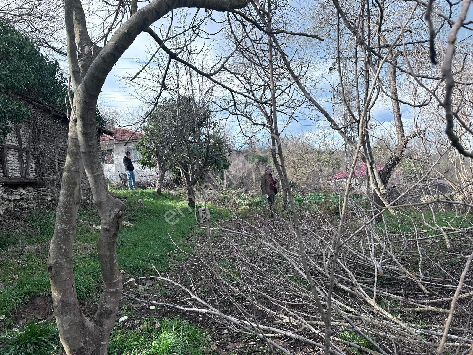 Kocaali'de Deniz Manzaralı, 3 Kat Yapı Yapılmasına Uygun Arsa - Görsel 8