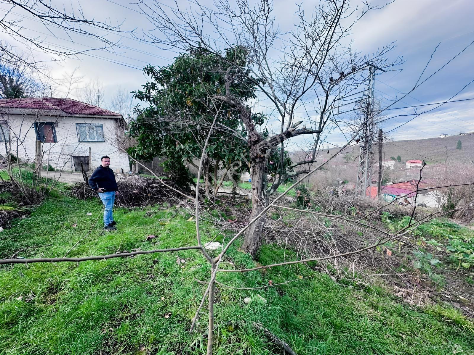Kocaali'de Deniz Manzaralı, 3 Kat Yapı Yapılmasına Uygun Arsa - Görsel 12