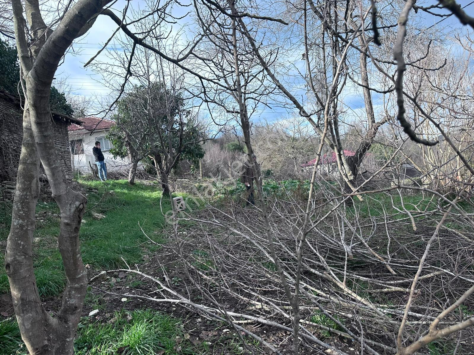 Kocaali'de Deniz Manzaralı, 3 Kat Yapı Yapılmasına Uygun Arsa - Görsel 14