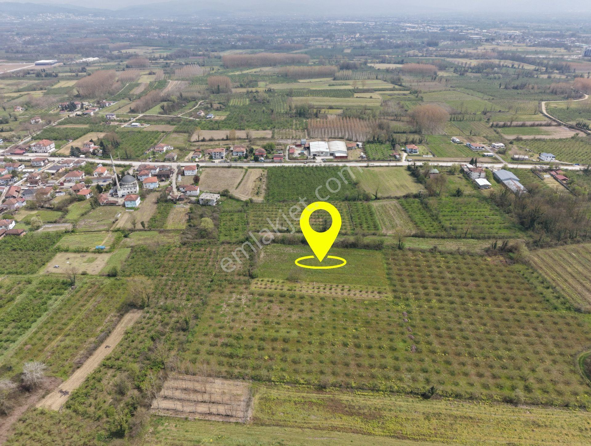 Elite Gd & 5021 M2 Ticari + Konut İmarlı Yatırımlık Fırsat Arsa - Görsel 9