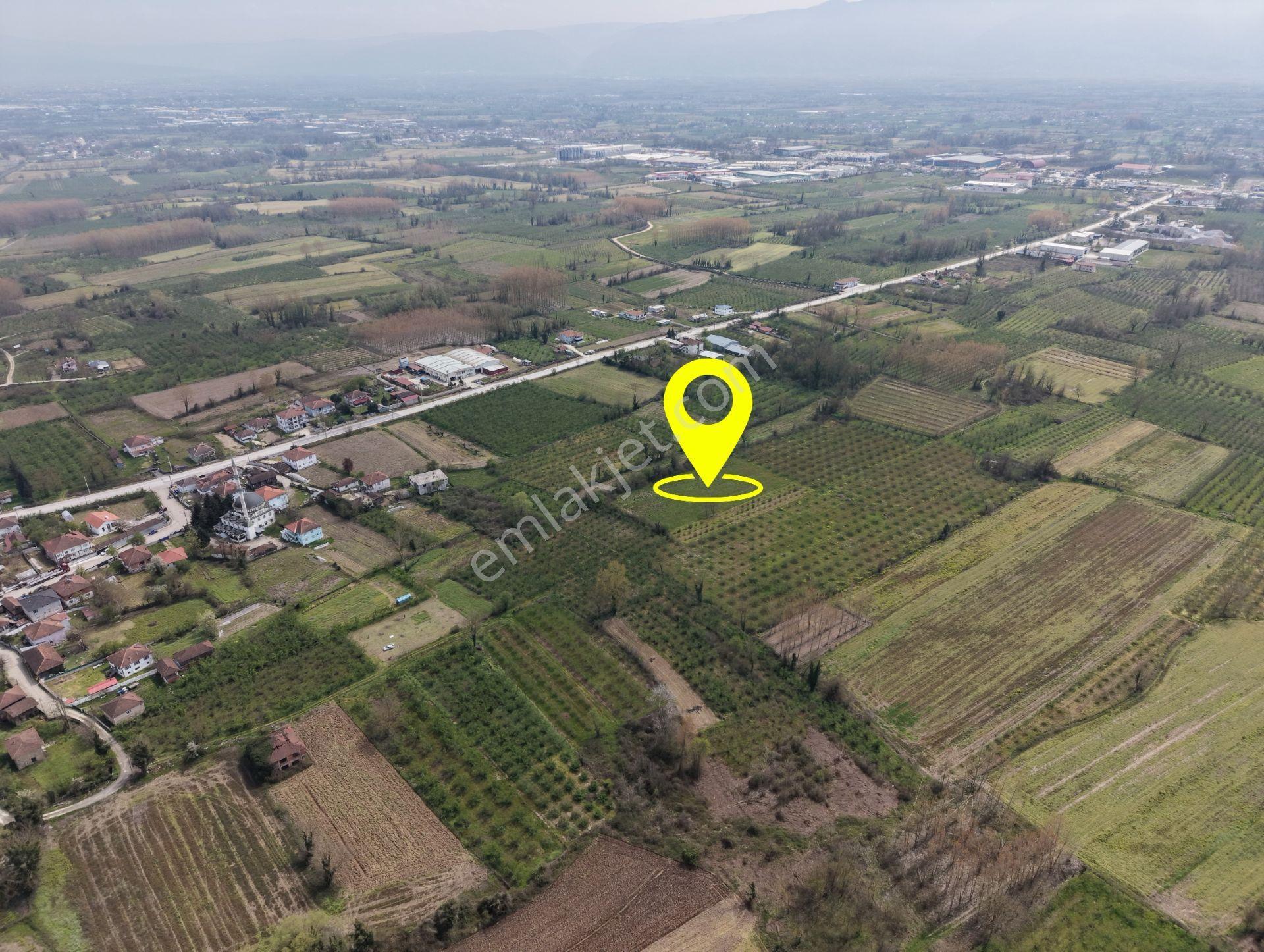 Elite Gd & 5021 M2 Ticari + Konut İmarlı Yatırımlık Fırsat Arsa - Görsel 8