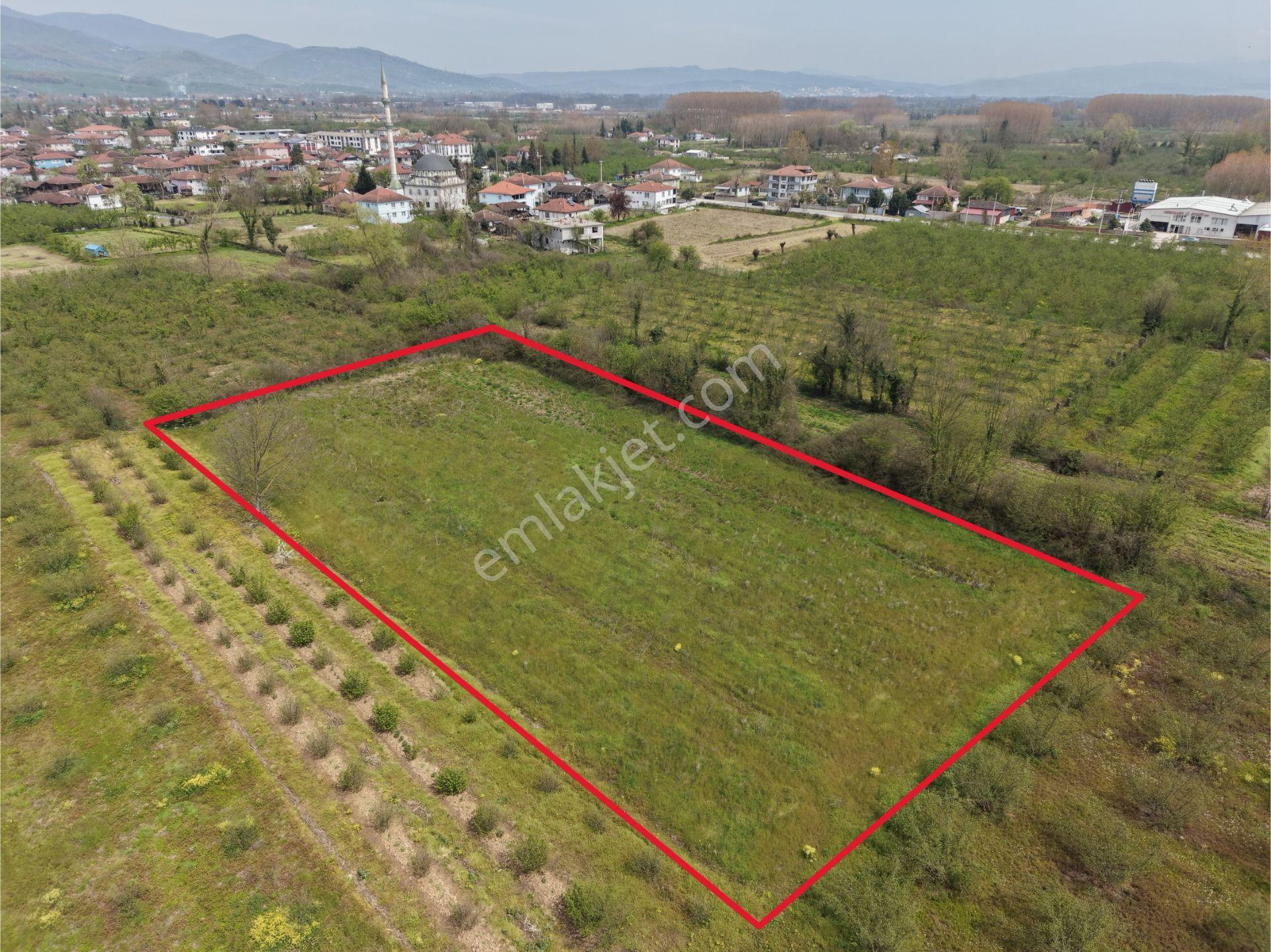 Elite Gd & 5021 M2 Ticari + Konut İmarlı Yatırımlık Fırsat Arsa - Görsel 4