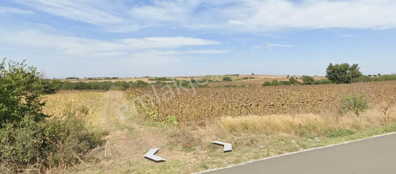 Edirne Uzunköprü Hamidiyede Ana Yola Yakın 511 M² Satılık Tarla - Görsel 3