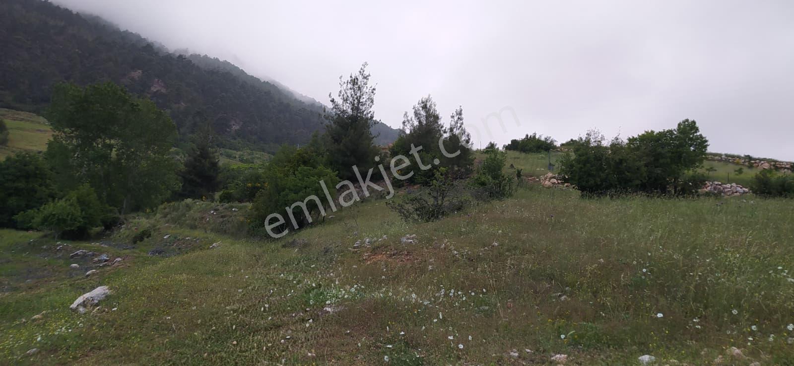 Mersin Mezitli Fındıkpınarı Yaylası'nda Çok Amaçlı Kullanılabilir Tarım Arazisi - Görsel 2