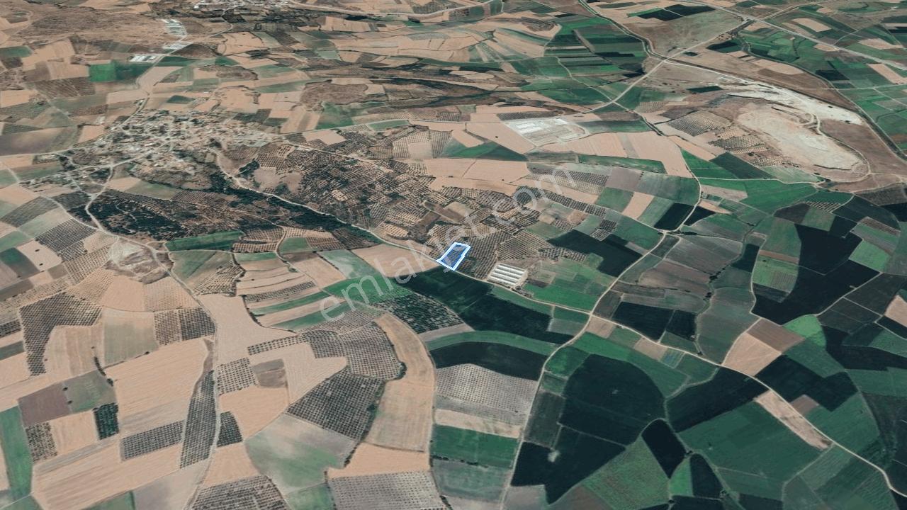 Karacabey Danışment'de Yola Cephe Satılık Tarla - Görsel 6
