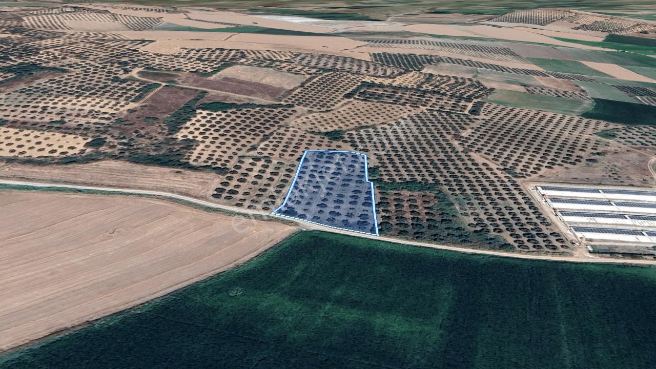 Karacabey Danışment'de Yola Cephe Satılık Tarla - Görsel 3