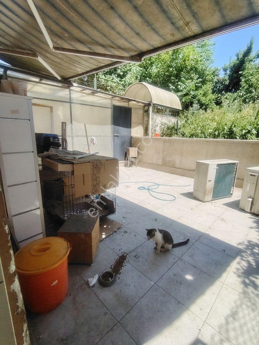 Engin Erdem'den Merter Ana Cadde Üzeri Kiralık 2 Katlı Mağaza ! - Görsel 27