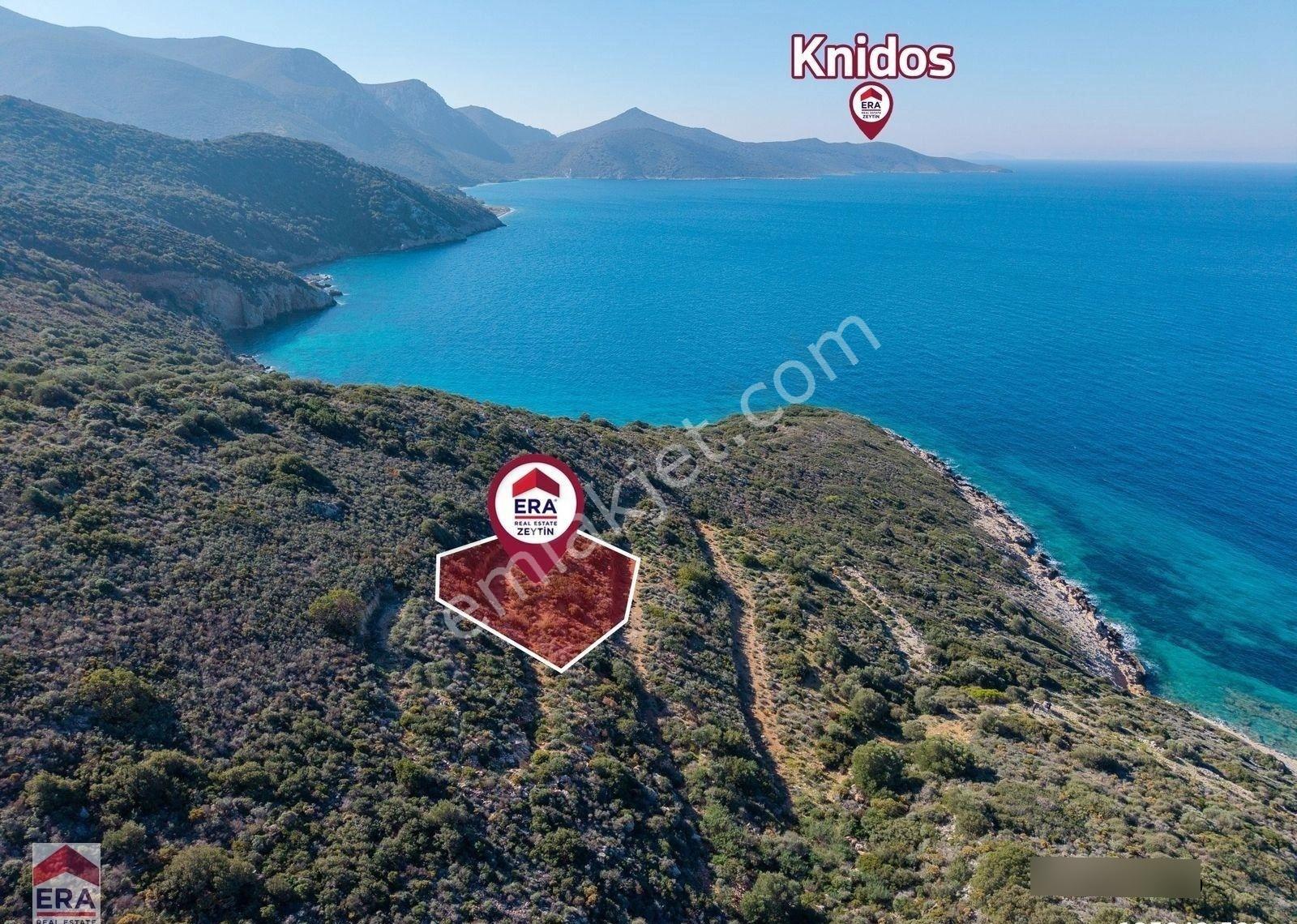 Datça Cumalı Bükceğiz Koyunda Satılık 2041 M² Denize Sıfır Tarla - Görsel 7