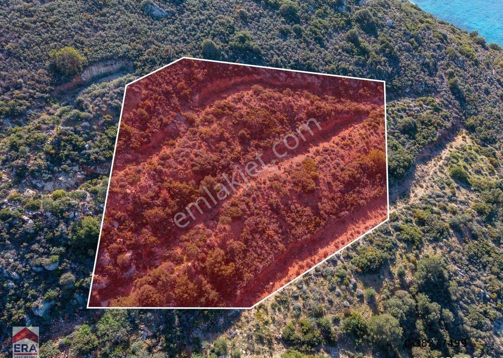 Datça Cumalı Bükceğiz Koyunda Satılık 2041 M² Denize Sıfır Tarla - Görsel 2