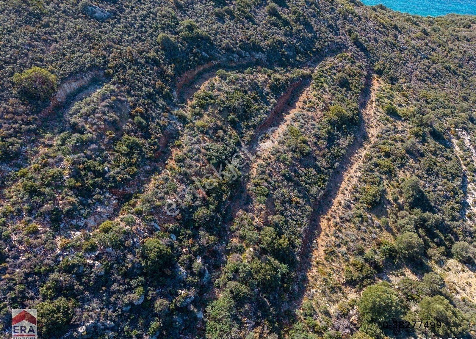 Datça Cumalı Bükceğiz Koyunda Satılık 2041 M² Denize Sıfır Tarla - Görsel 8