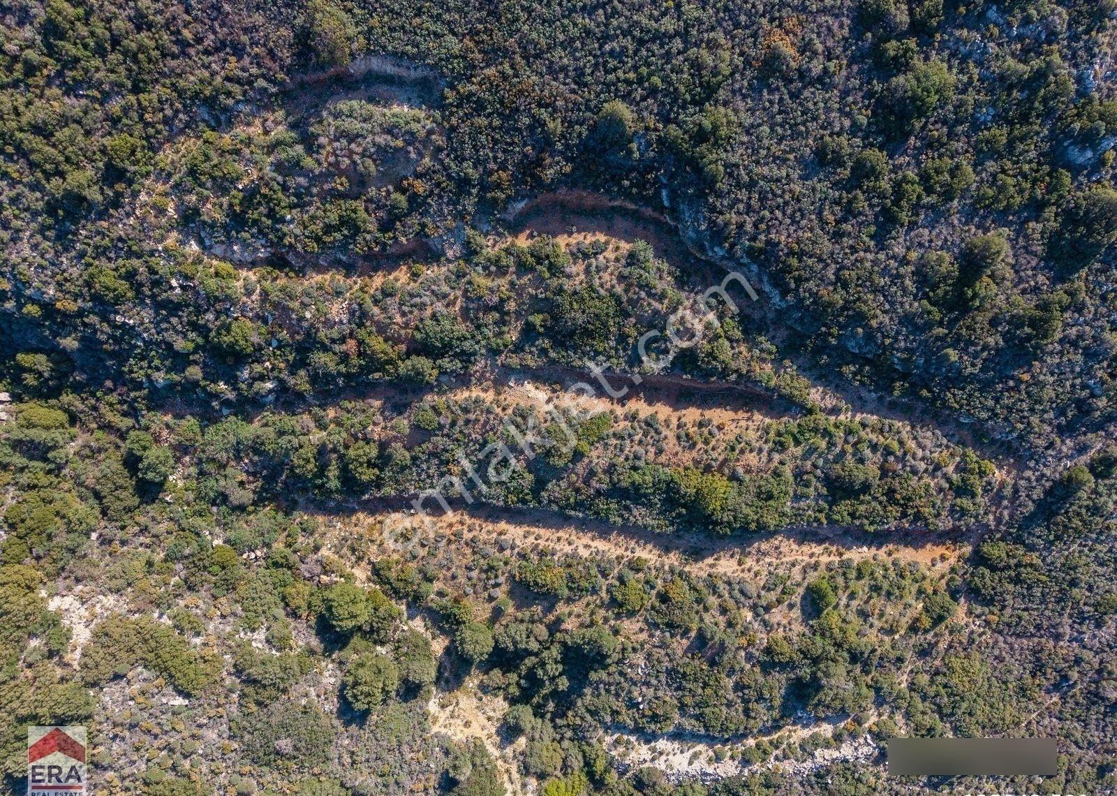 Datça Cumalı Bükceğiz Koyunda Satılık 2041 M² Denize Sıfır Tarla - Görsel 10
