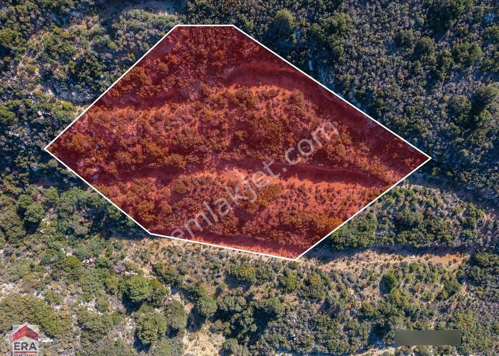Datça Cumalı Bükceğiz Koyunda Satılık 2041 M² Denize Sıfır Tarla - Görsel 9