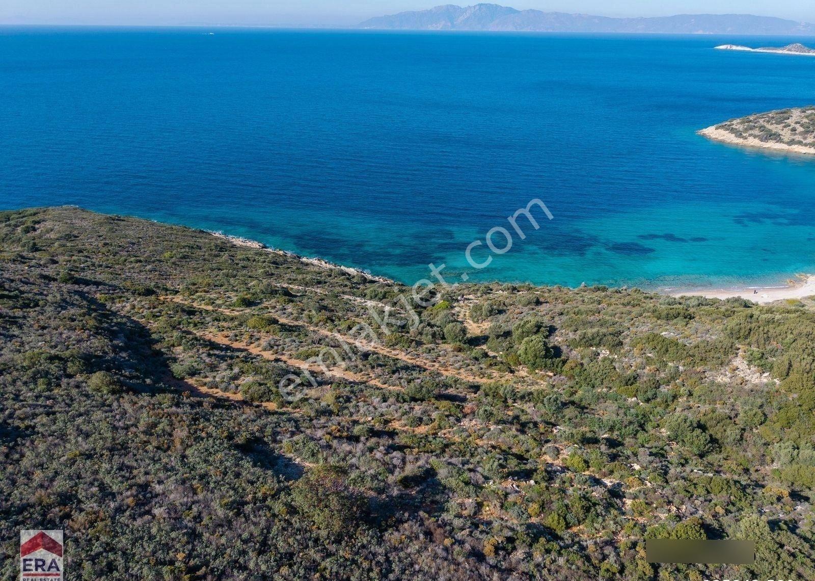 Datça Cumalı Bükceğiz Koyunda Satılık 2041 M² Denize Sıfır Tarla - Görsel 12
