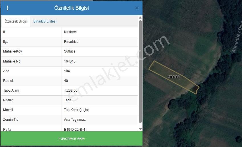 Kırklareli Pınarhisar'da Yatırımlık 1.238 M² Müstakil Tarla - Görsel 6