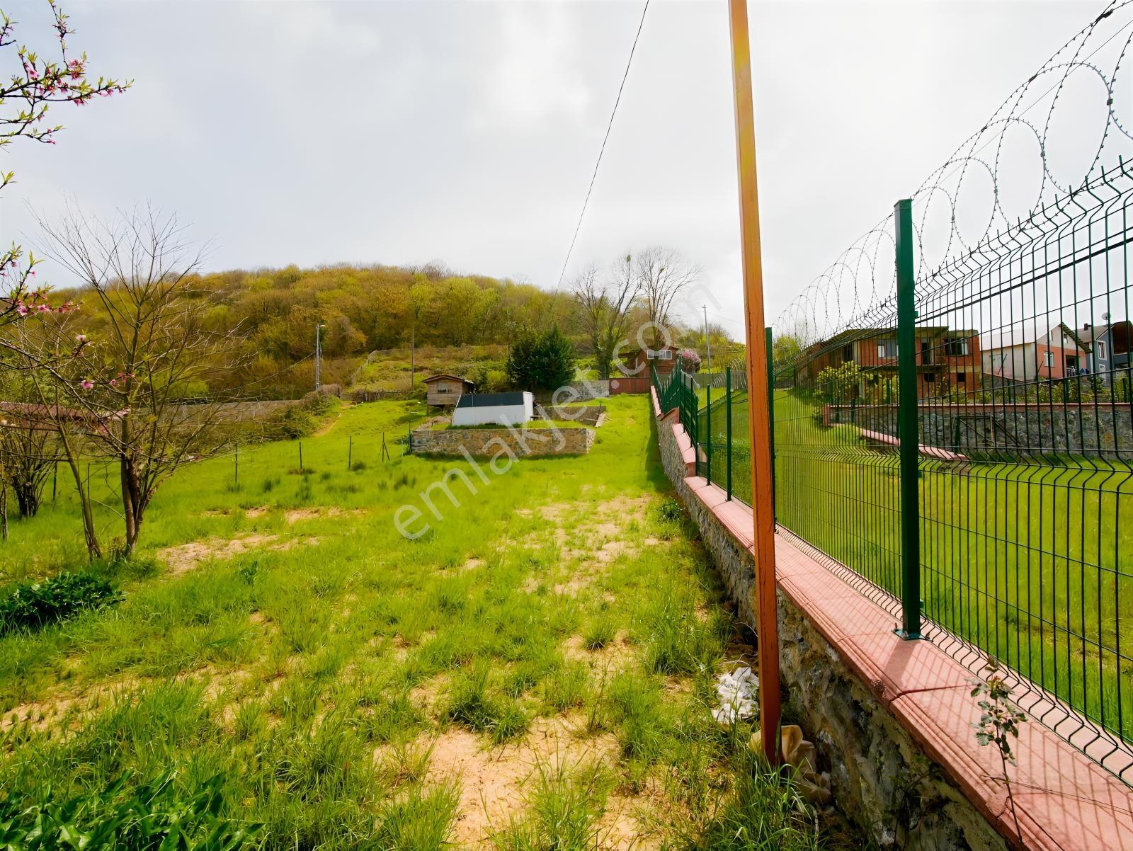 Beykoz İshaklı 539 M2 Satılık Arsa Altyapı Elektrik Su Yol - Görsel 6