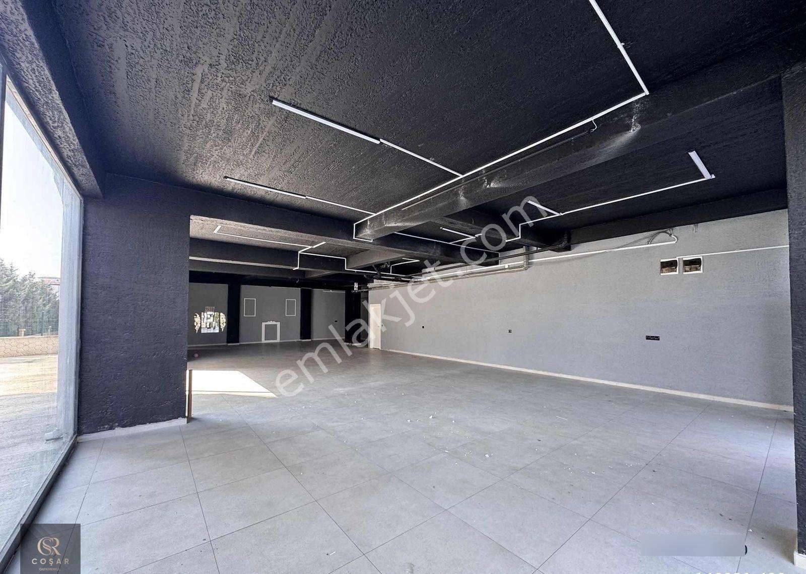-coşargayrimenkul-alpaslantürkeş Blv Cephe 280m2 Kiralık Dükkan - Görsel 5