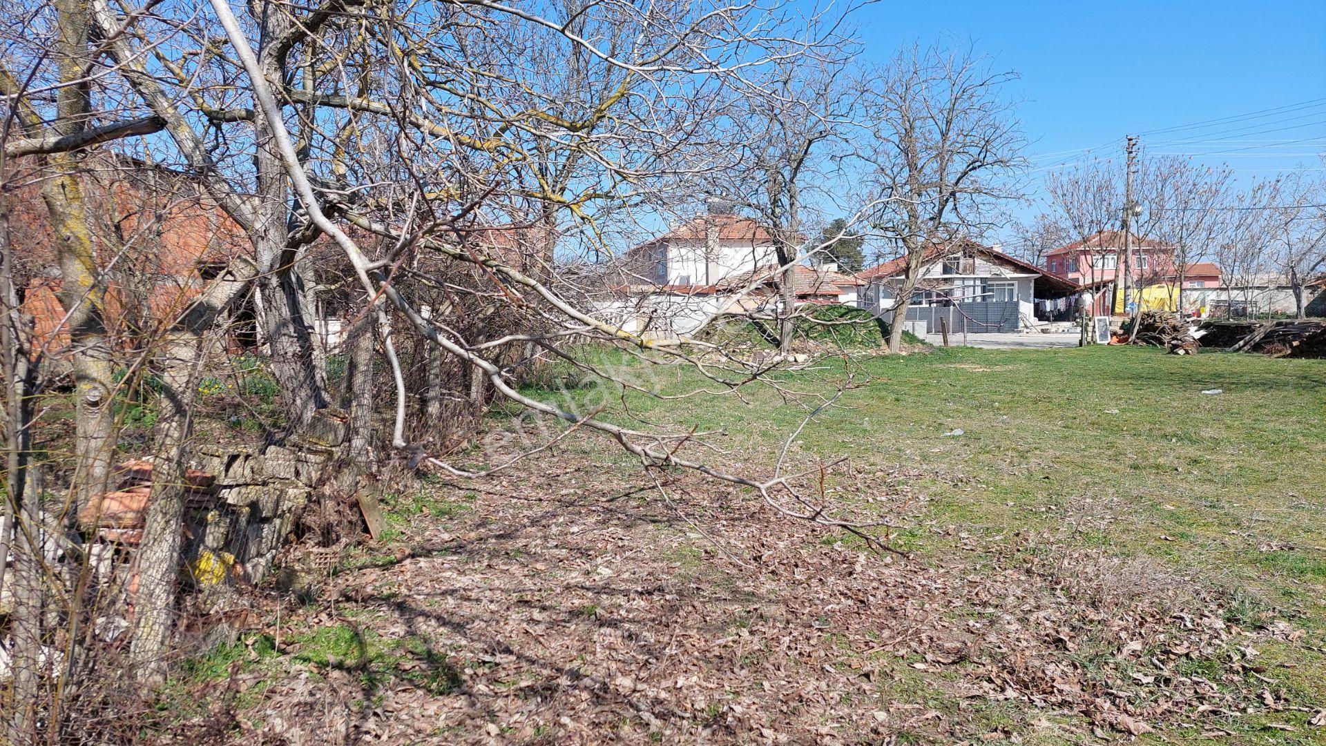 Banarlının Merkezinde İmarlı Arsa - Görsel 6