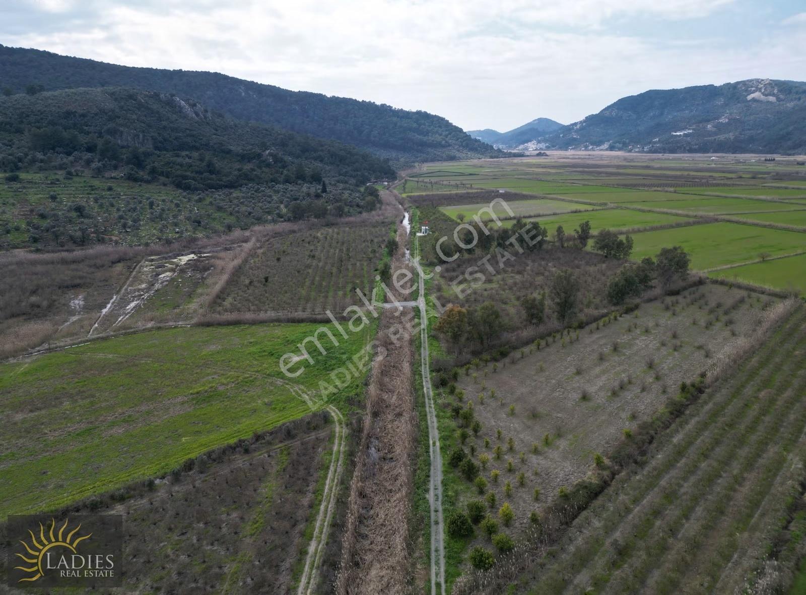 Güzelyurt Akdoğanda Yola Cepheli Tarla - Görsel 6
