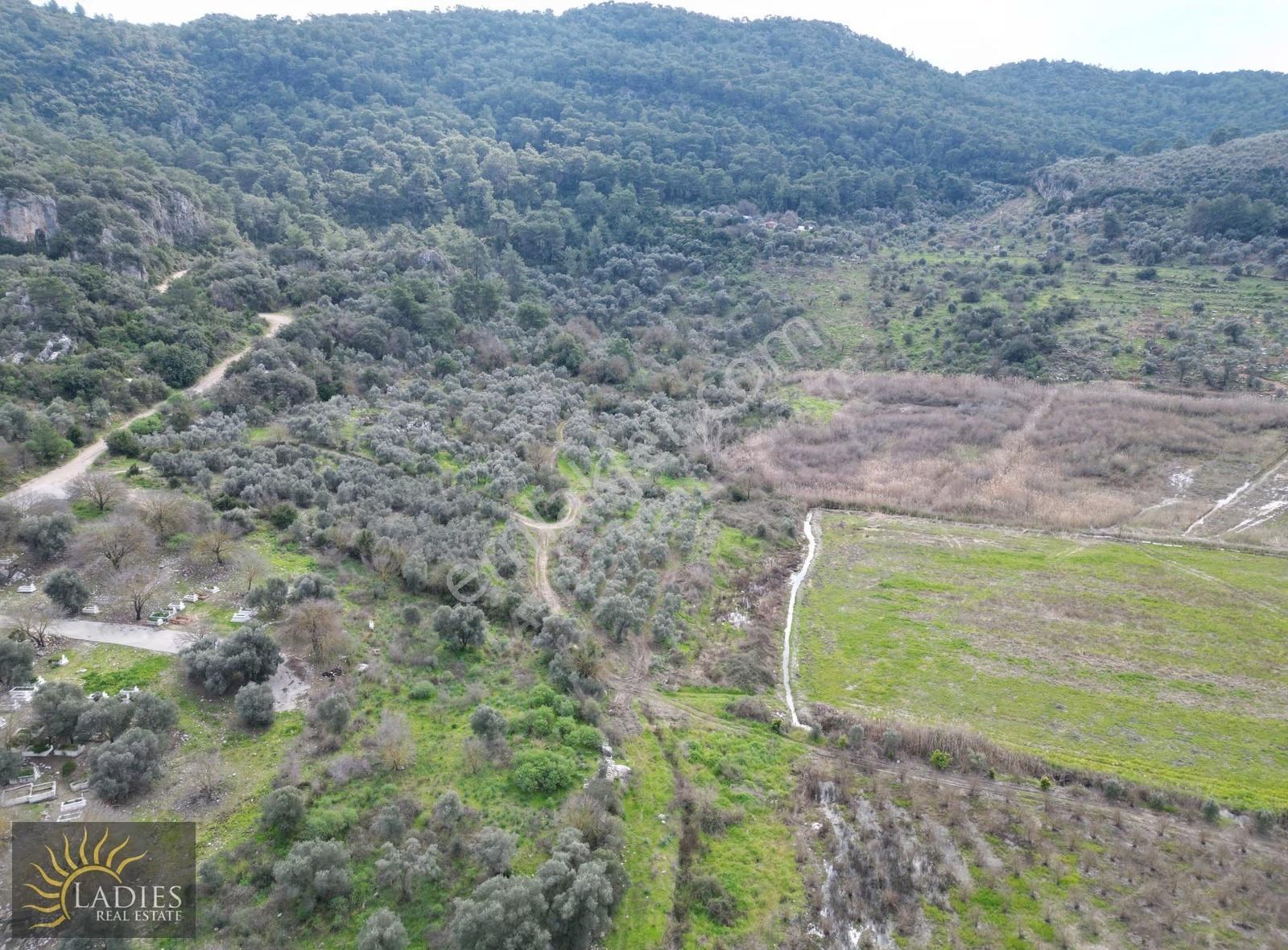 Güzelyurt Akdoğanda Yola Cepheli Tarla - Görsel 12