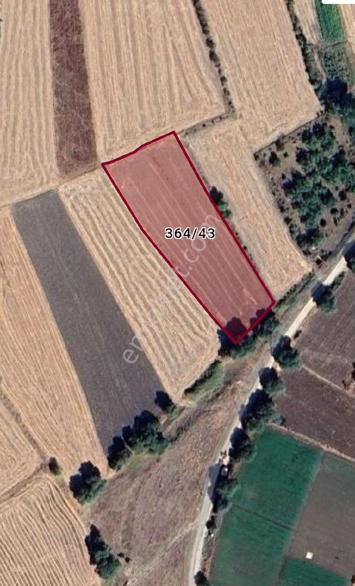 📍çeltikçi'de 4260m2 Kaçırılmayacak Fırsat!