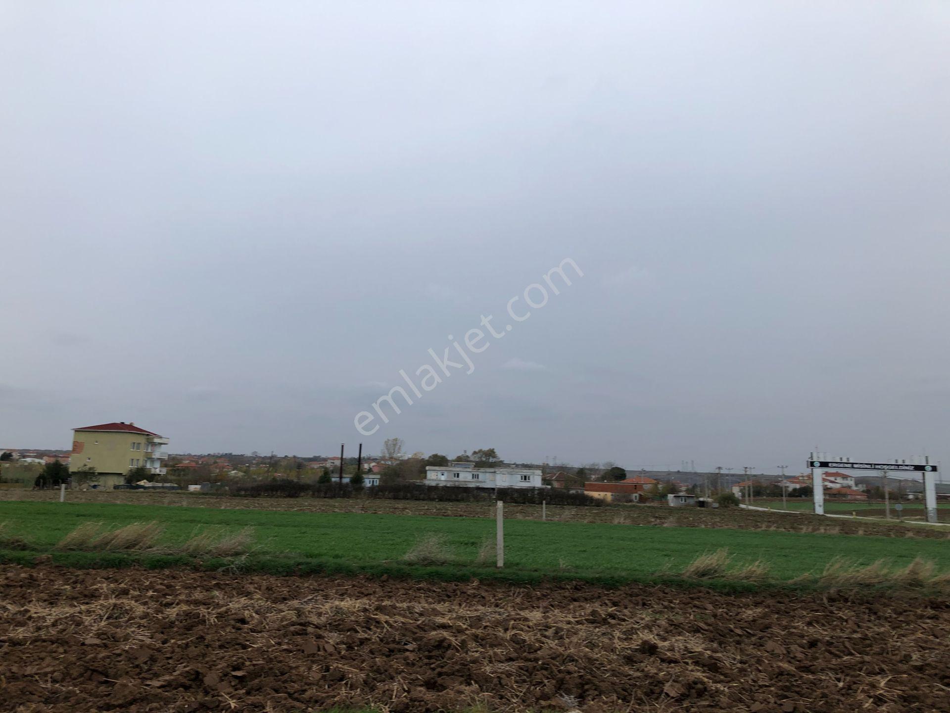 Tekirdağ Ergene Misinli De Yerleşime Yakın İmarlı İfrazlı Arsa - Görsel 6