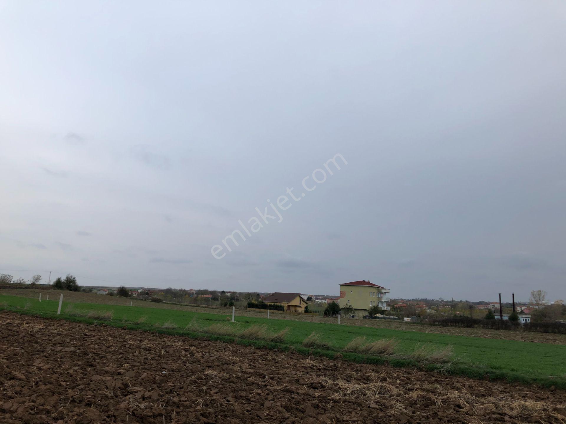 Tekirdağ Ergene Misinli De Yerleşime Yakın İmarlı İfrazlı Arsa - Görsel 7