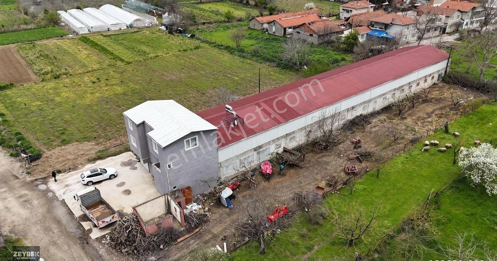 Zeybek Emlaktan Tırnova Mah. 900m2 Kiralık Depo - Görsel 31