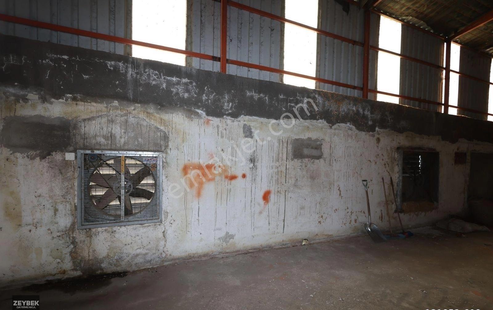 Zeybek Emlaktan Tırnova Mah. 900m2 Kiralık Depo - Görsel 19