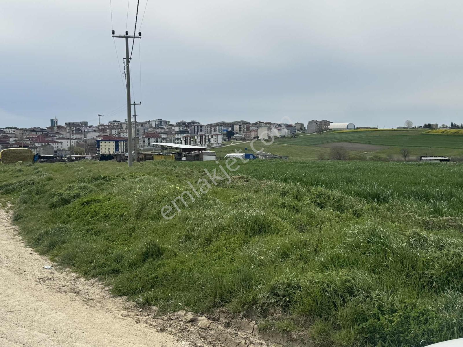 Çerkezköy Bağlık Mahallesinde 231 Metre Tek Tapu - Görsel 7