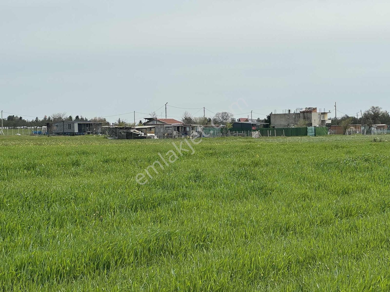 Çerkezköy Bağlık Mahallesinde 231 Metre Tek Tapu - Görsel 3