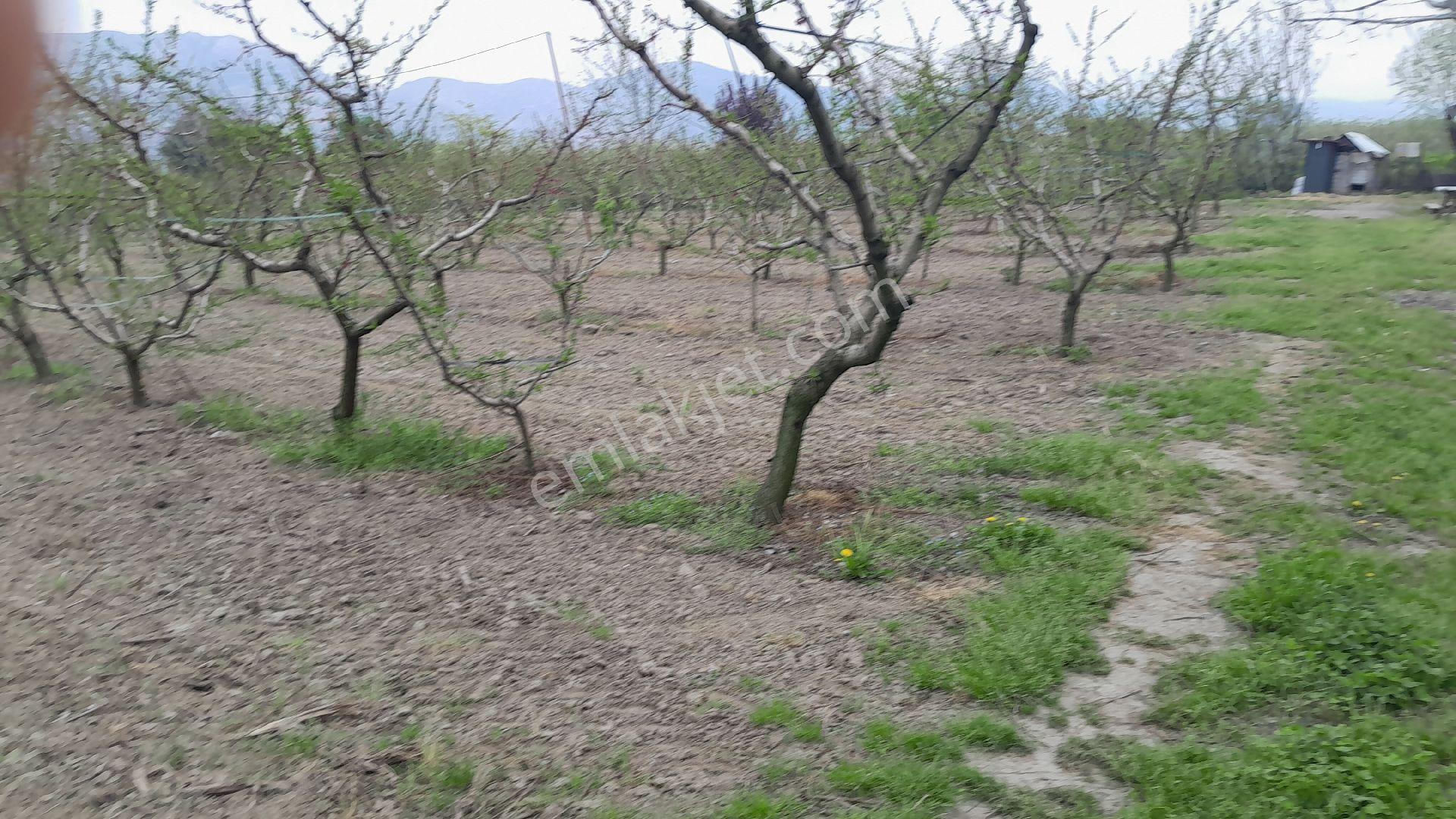 En İyi Yatırım Toprağa Olan Yatırımdır. İmara - Görsel 5