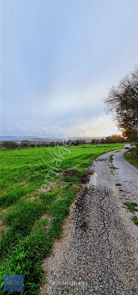 Bodrum Yakını Köylerde Yatırımlık Tarla - Görsel 8