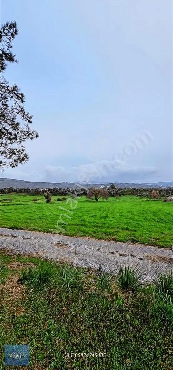 Bodrum Yakını Köyler Yatırımlık Araziler