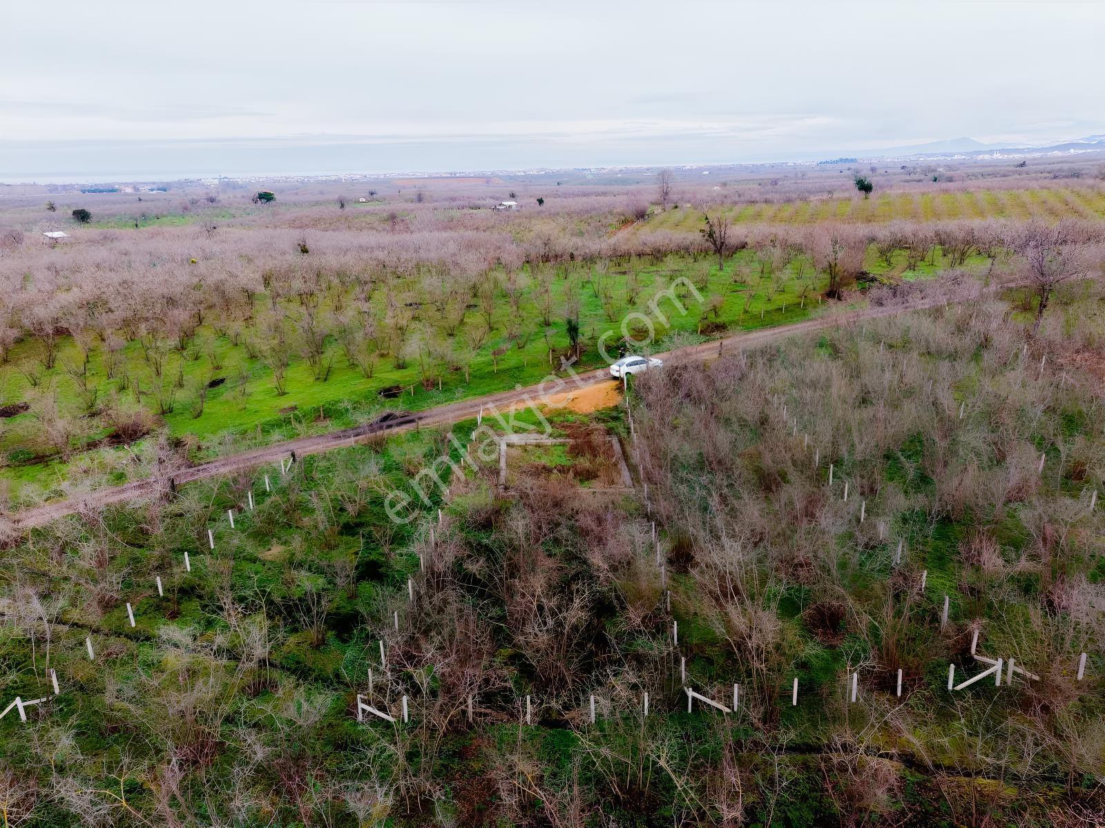 Karasu Kuyumculu Köyünde 380 M2 Satılık Arsa - Görsel 6