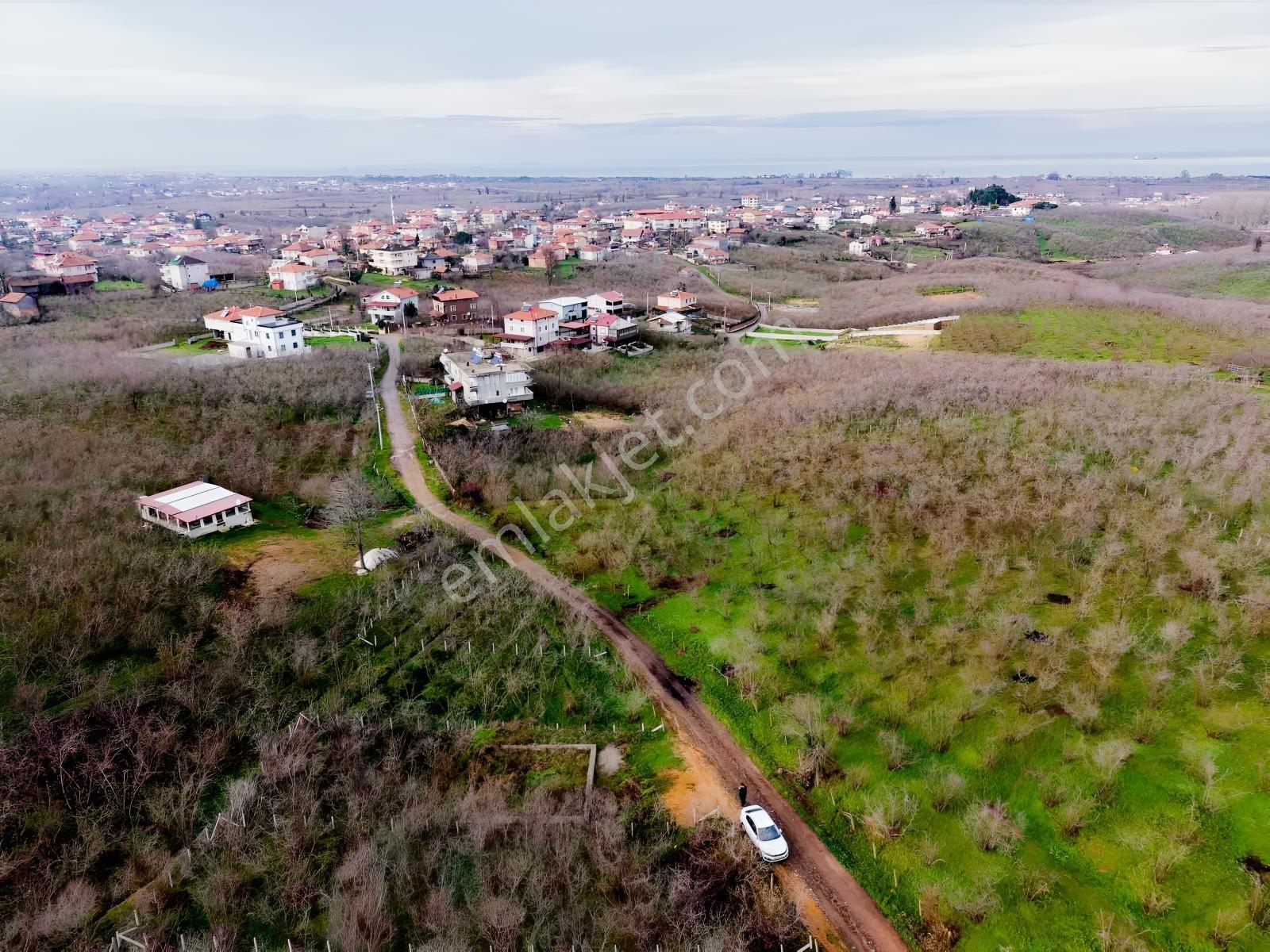 Karasu Kuyumculu Köyünde 380 M2 Satılık Arsa - Görsel 10