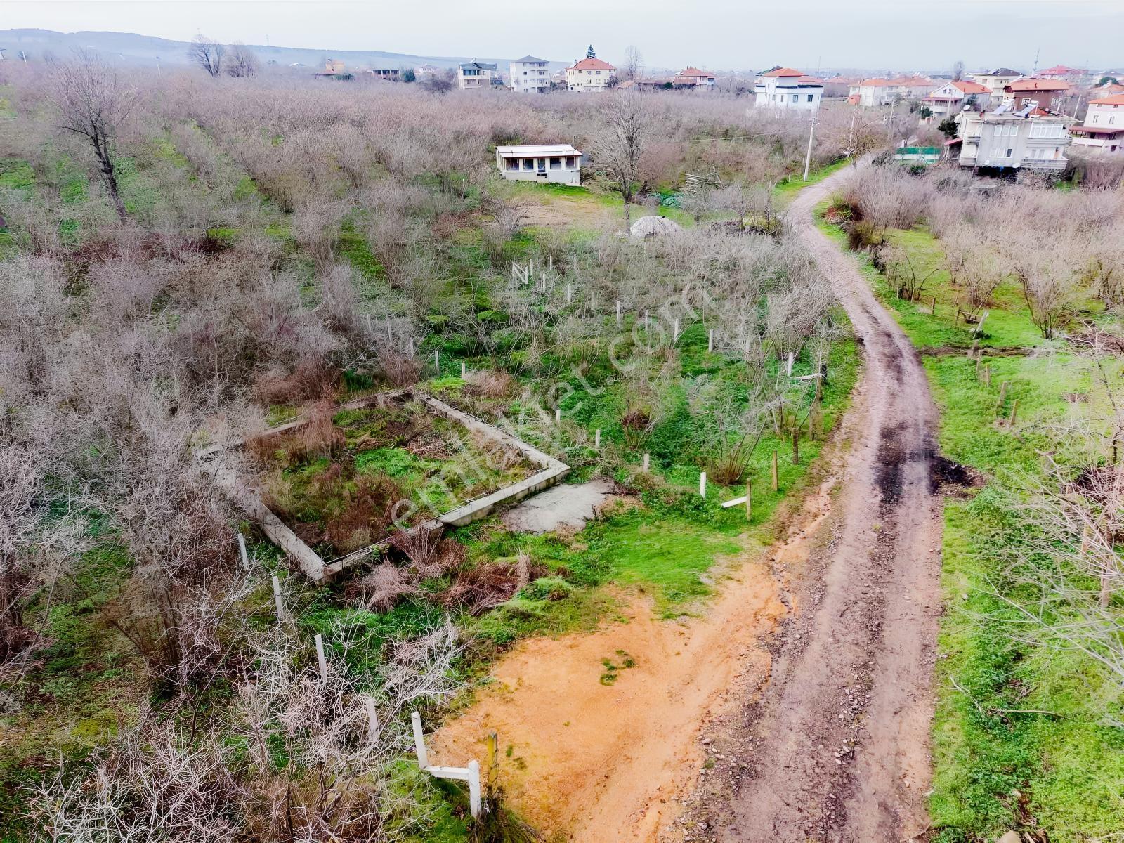Karasu Kuyumculu Köyünde 380 M2 Satılık Arsa - Görsel 9