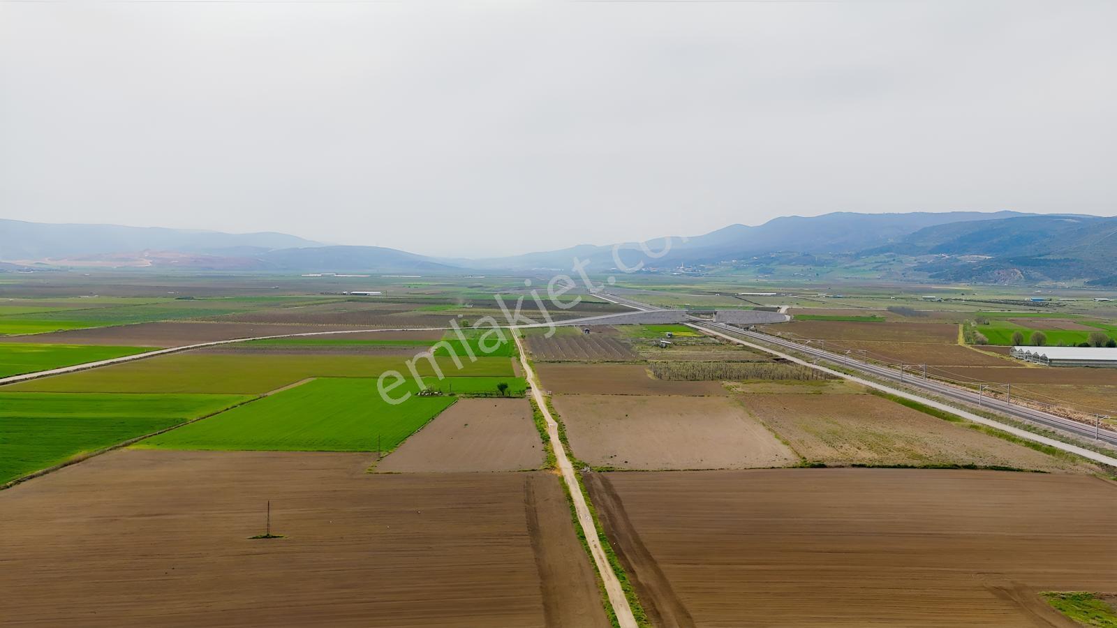 Remax Advantage Yenişehir Koyunhisar Köyü 2697 M2 Satılık Tarla - Görsel 22