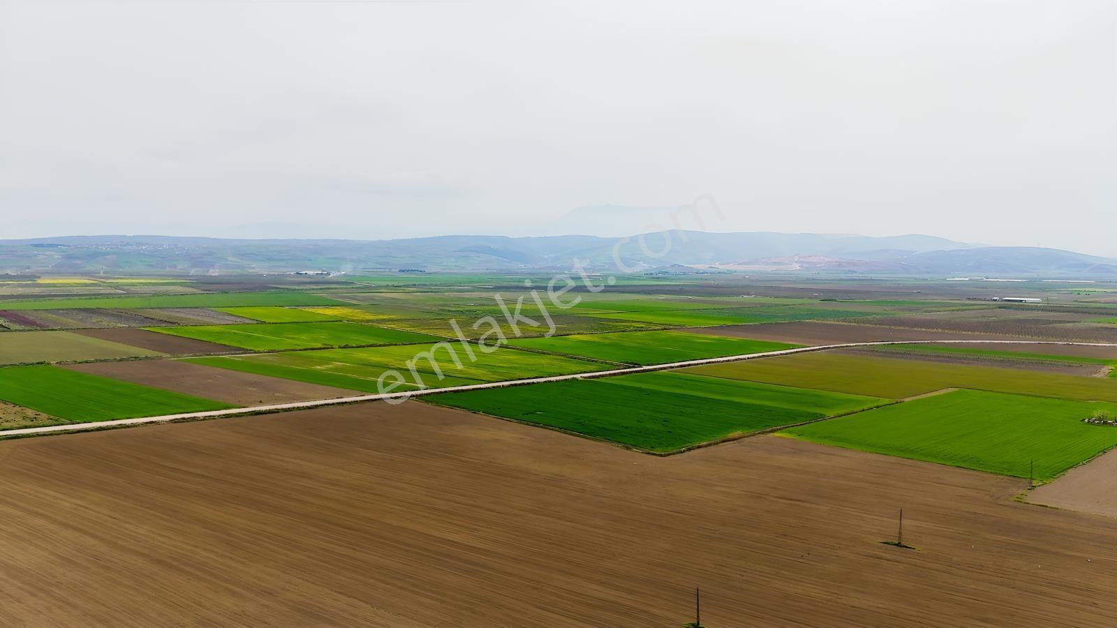 Remax Advantage Yenişehir Koyunhisar Köyü 2697 M2 Satılık Tarla - Görsel 21