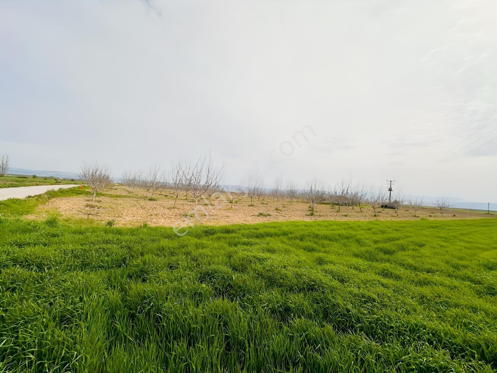 Remax Advantage Yenişehir Koyunhisar Köyü 2697 M2 Satılık Tarla - Görsel 6