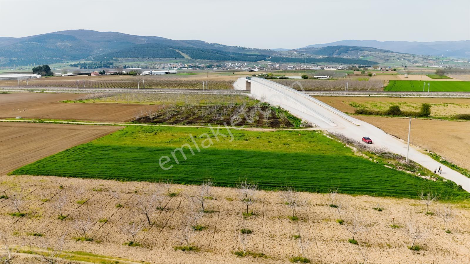 Remax Advantage Yenişehir Koyunhisar Köyü 2697 M2 Satılık Tarla - Görsel 33