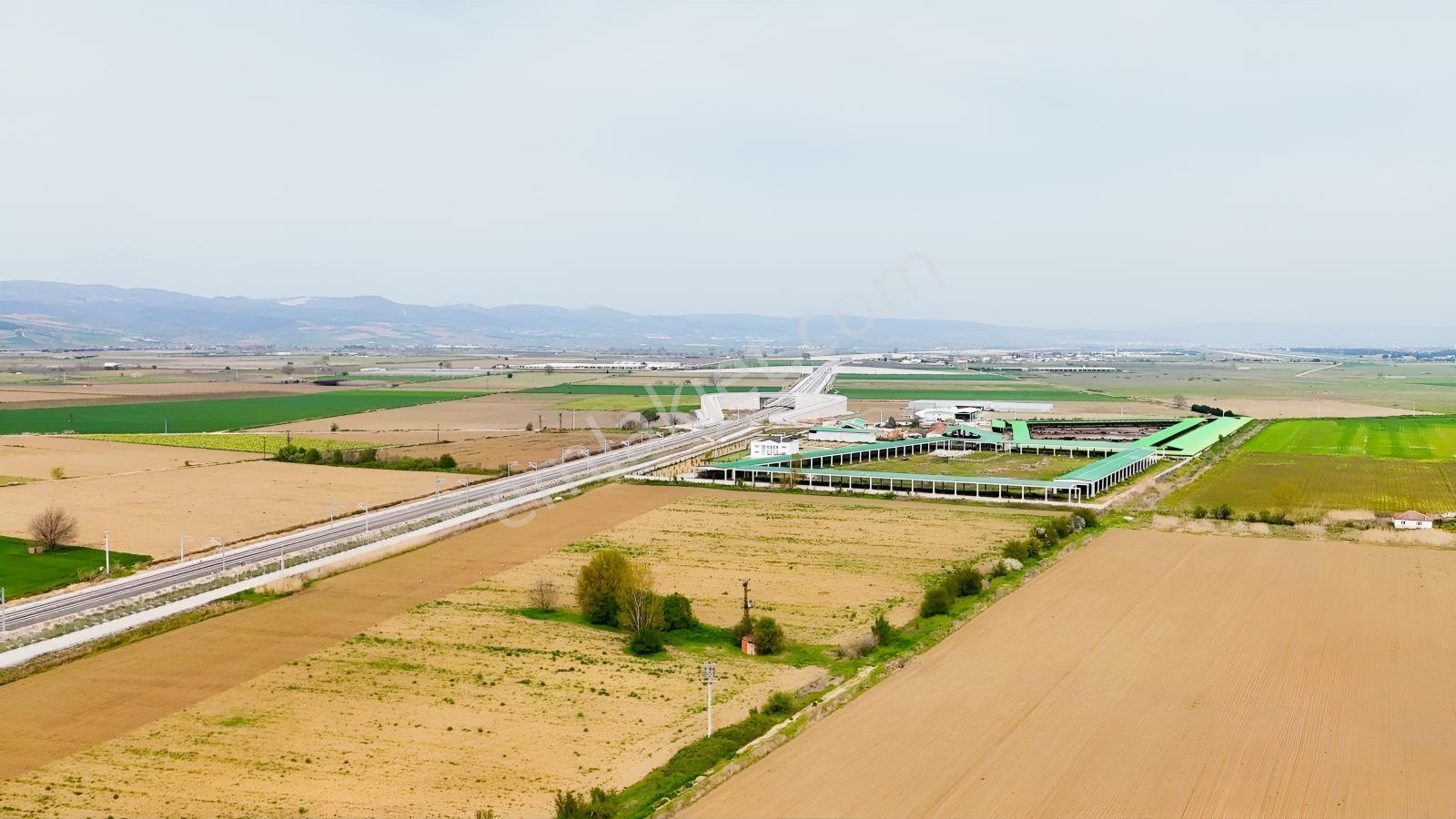 Remax Advantage Yenişehir Koyunhisar Köyü 2697 M2 Satılık Tarla - Görsel 28