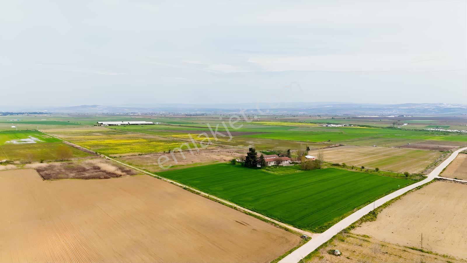 Remax Advantage Yenişehir Koyunhisar Köyü 2697 M2 Satılık Tarla - Görsel 26