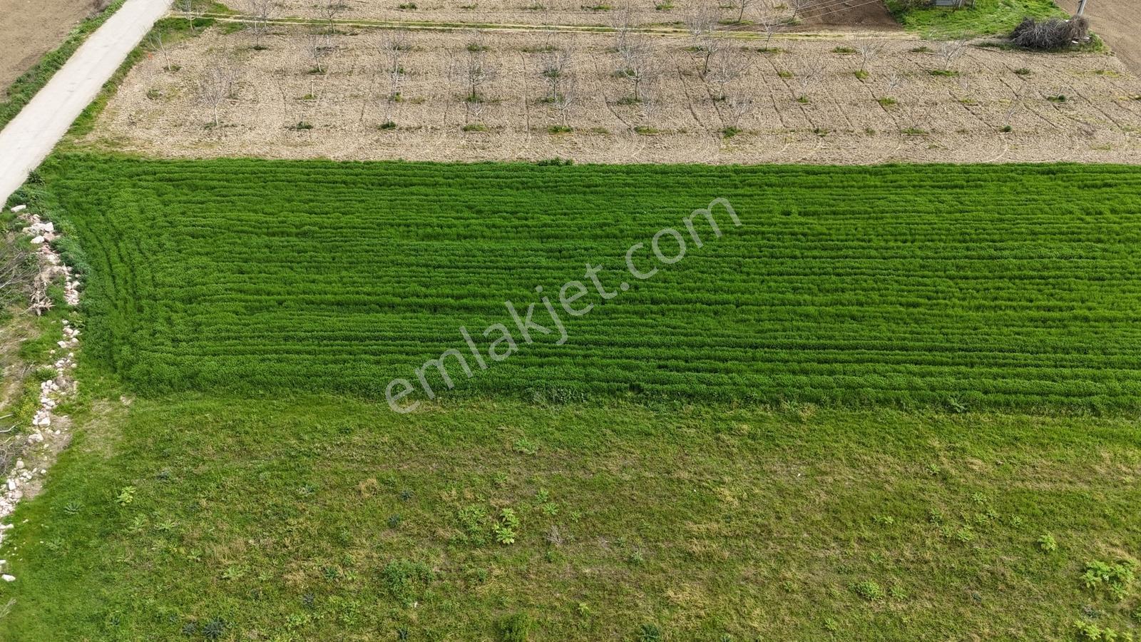 Remax Advantage Yenişehir Koyunhisar Köyü 2697 M2 Satılık Tarla - Görsel 20
