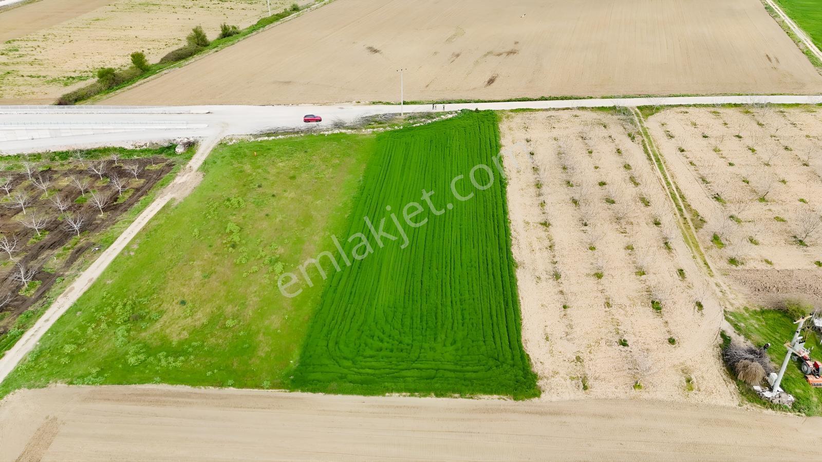 Remax Advantage Yenişehir Koyunhisar Köyü 2697 M2 Satılık Tarla - Görsel 32